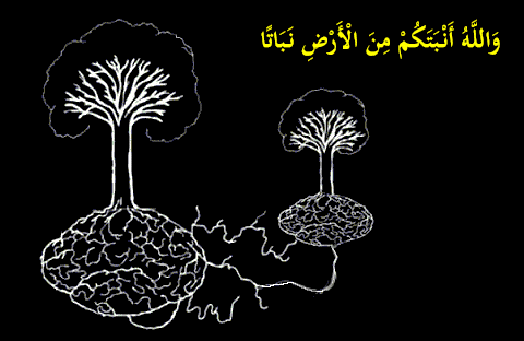 والله أنبتكم من الأرض نباتا
